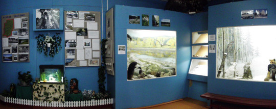 Зал живой природы открыли в Нюксенском музее после ремонта